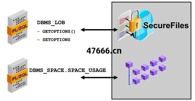 Oracle DB 數據(ju)安(an)全管理(li)實(shi)踐與(yu)火(huo)龍果(guo)軟(ruan)件工程(cheng)應用